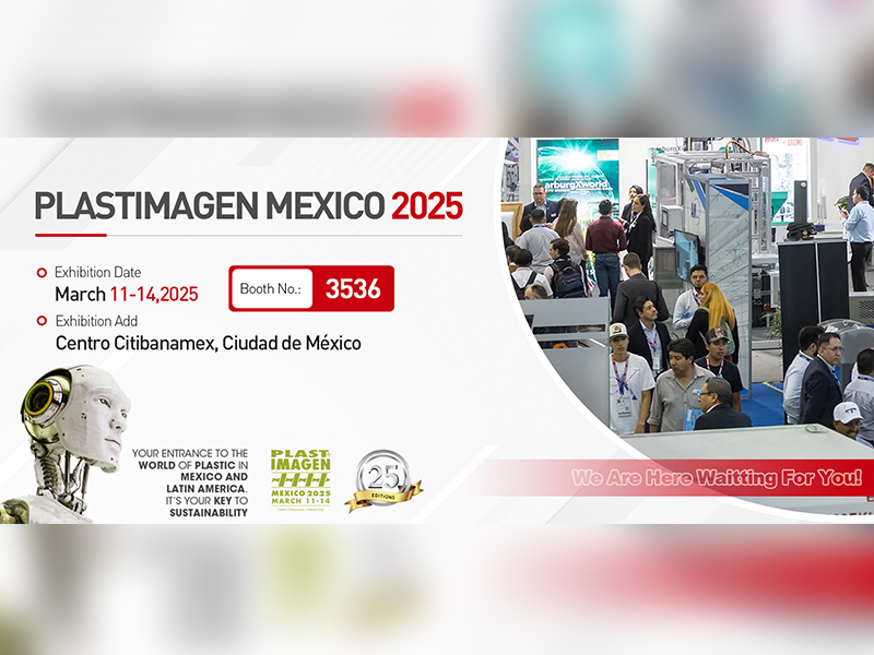 بلاستيماجين المكسيك 2025